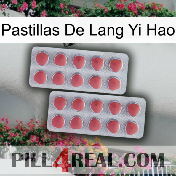 Lang Yi Hao Pills 19.jpg